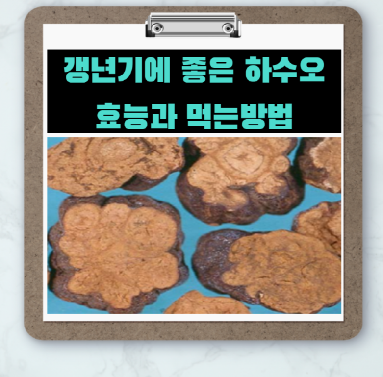  [3대 명약 시리즈 2탄] '하수오'의 효능 및 섭취방법