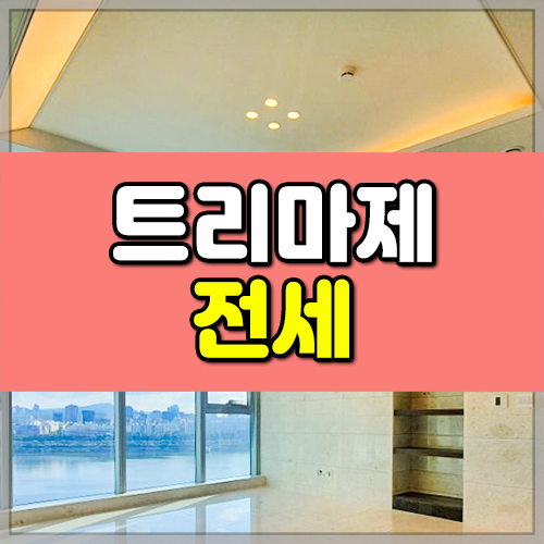 트리마제 썸네일