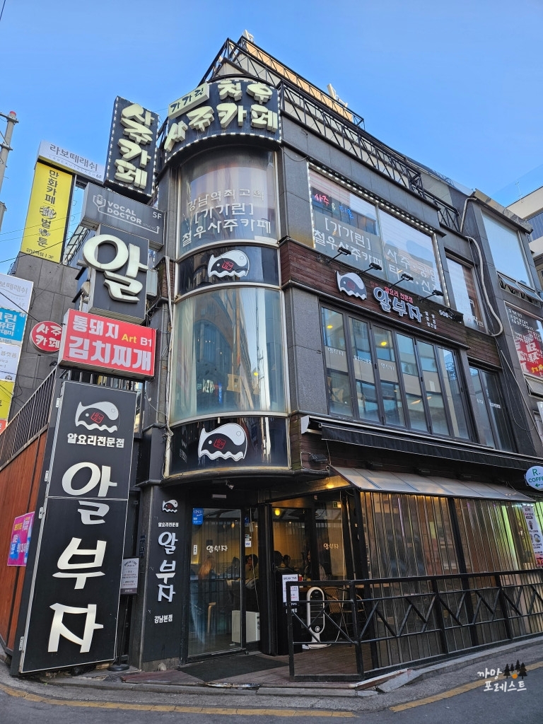 강남 알부자