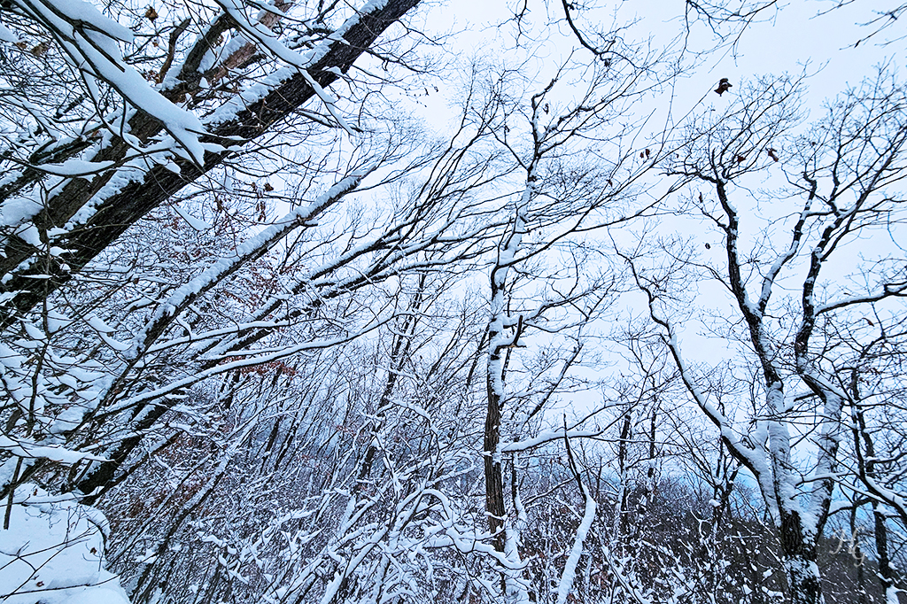소백산국립공원 삼가동코스 이미지