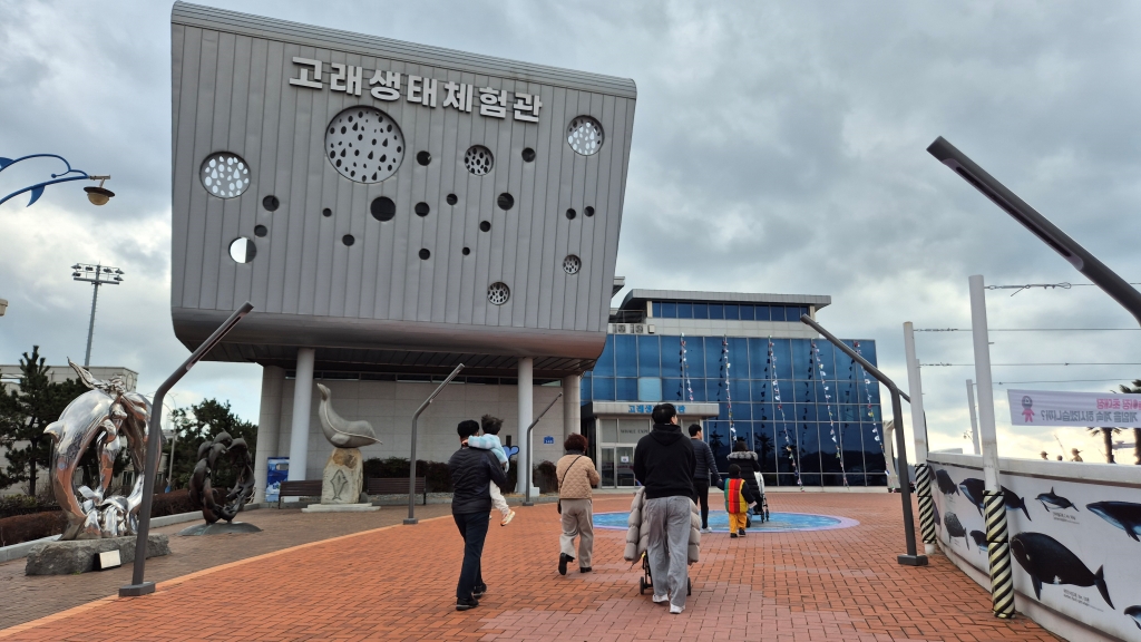 설날 맞이 장생포 고래문화특구 여행! 안녕 돌고래!