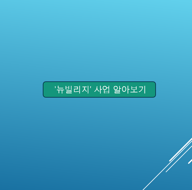 뉴발리지 사업