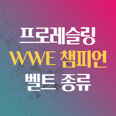  WWE 챔피언 벨트 종류