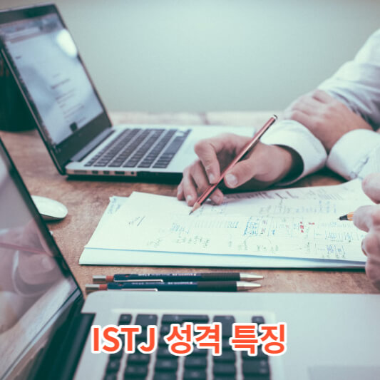 ISTJ 성격 특징