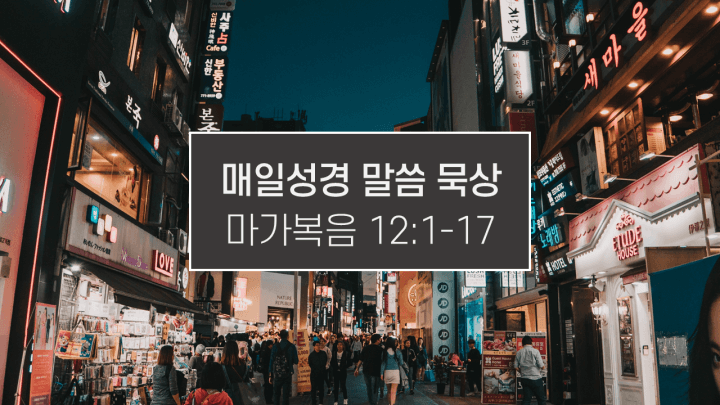 썸네일-한국의-번화가
