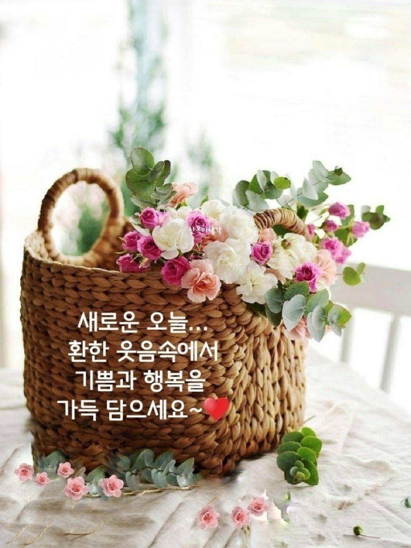유람 이미지