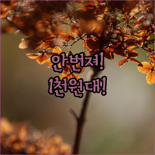눈물💧, 땀💦에도 끄떡없다! 💪🏻 번