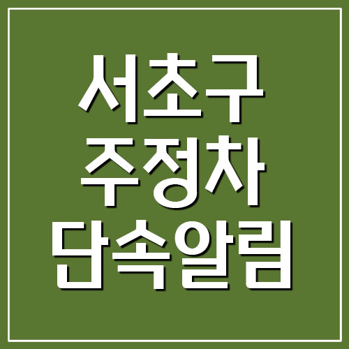 서울 서초구 주정차 단속 문자 알림 서비스