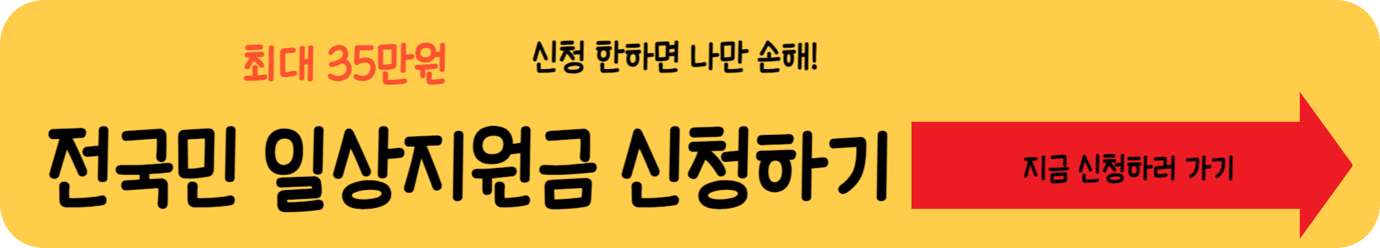 전국민 일상지원금