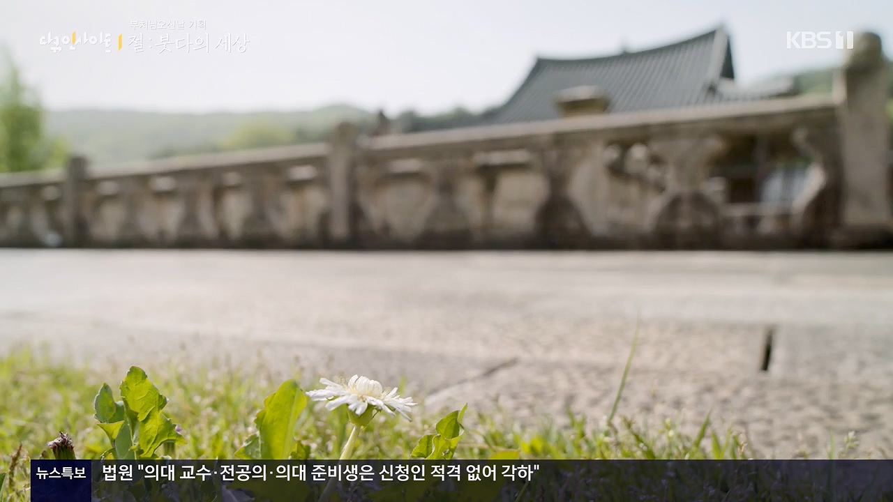 다큐 인사이트.E185.240517p-NEXT.mp4_20240517_202642.300.jpg