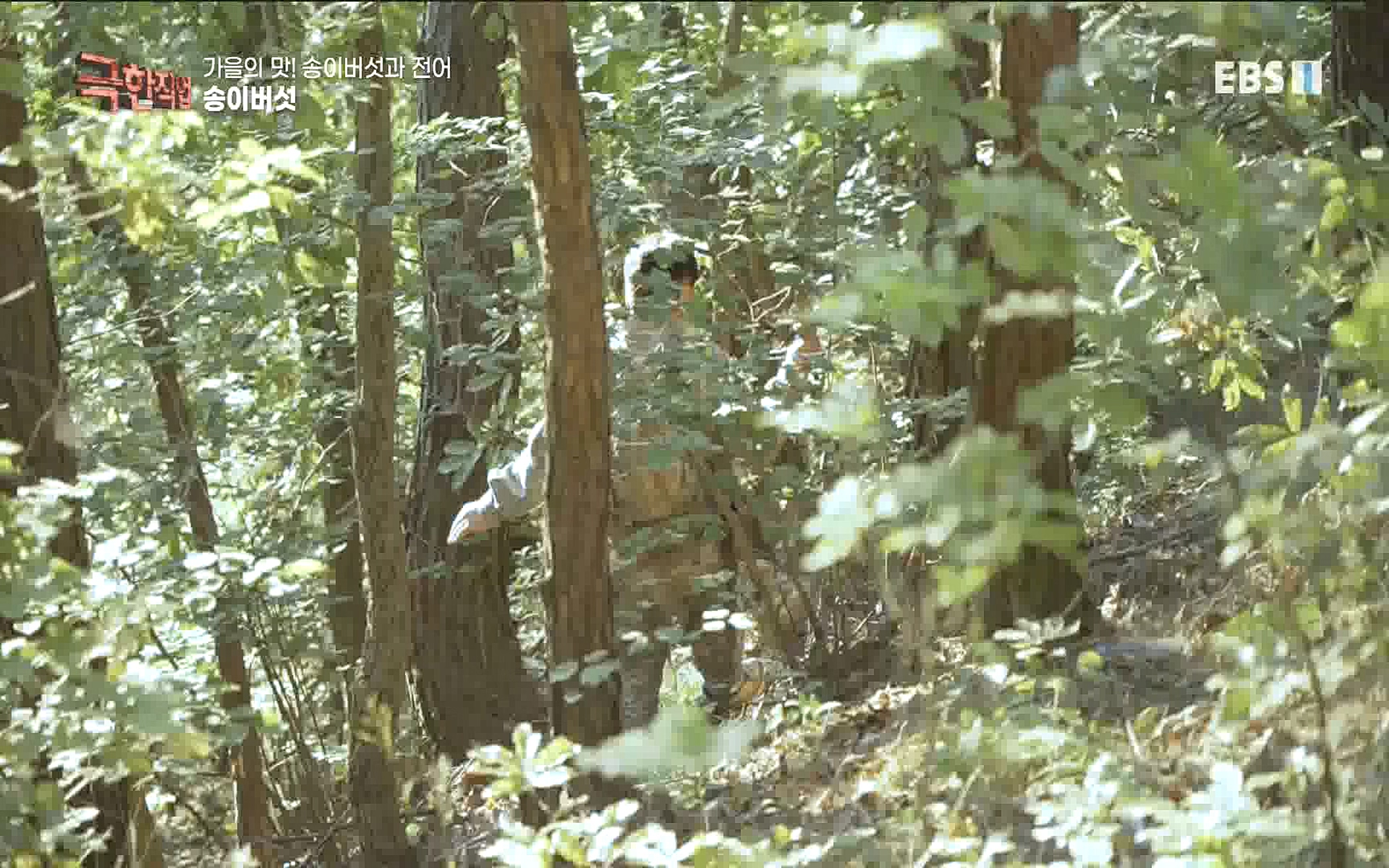 송이버섯과 전어 221008.mp4_20221012_213442.098.jpg