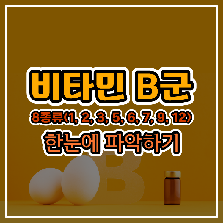 비타민 B군 8종류(1&#44; 2&#44; 3&#44; 5&#44; 6&#44; 7&#44; 9&#44; 12) 한눈에 파악하기