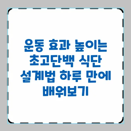 운동 효과 높이는 초고단백 식단 설계법 하루 만에 배워보기