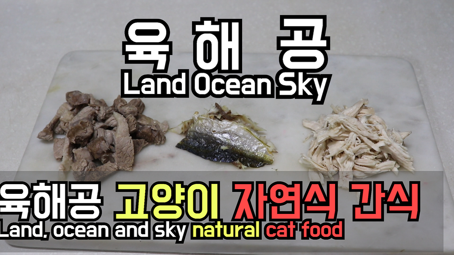  고양이 자연식 #13 - 육해공(돼지 앞다리살 수육, 전갱이 튀김, 닭가슴살 찜) 고양이 간식