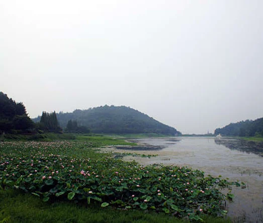 서동농촌테마공원