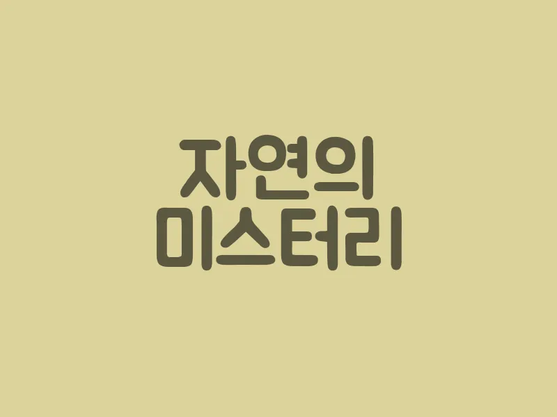 자연의 미스터리