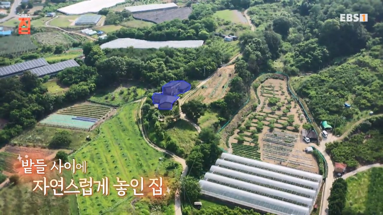 TV - 전 국민의 평생학교 EBS너튜브 3년 보면 집을 짓는다-.mp4_20230818_210302.988.jpg