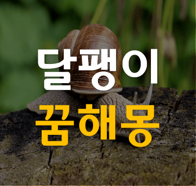 달팽이 잡는 꿈해몽