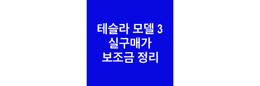 테슬라-모델-3-실구매가-보조금