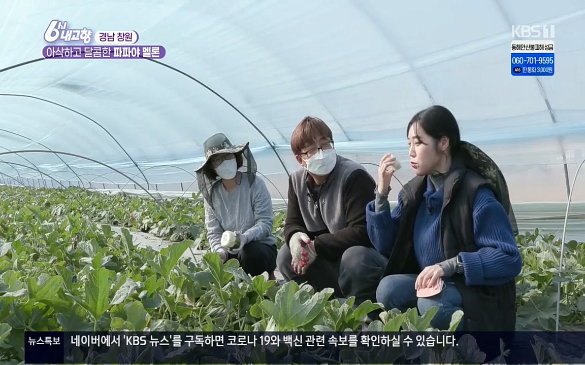 6시 내고향.E7501.220332p.H264-F1RST.mp4_20220402_201620.855.jpg