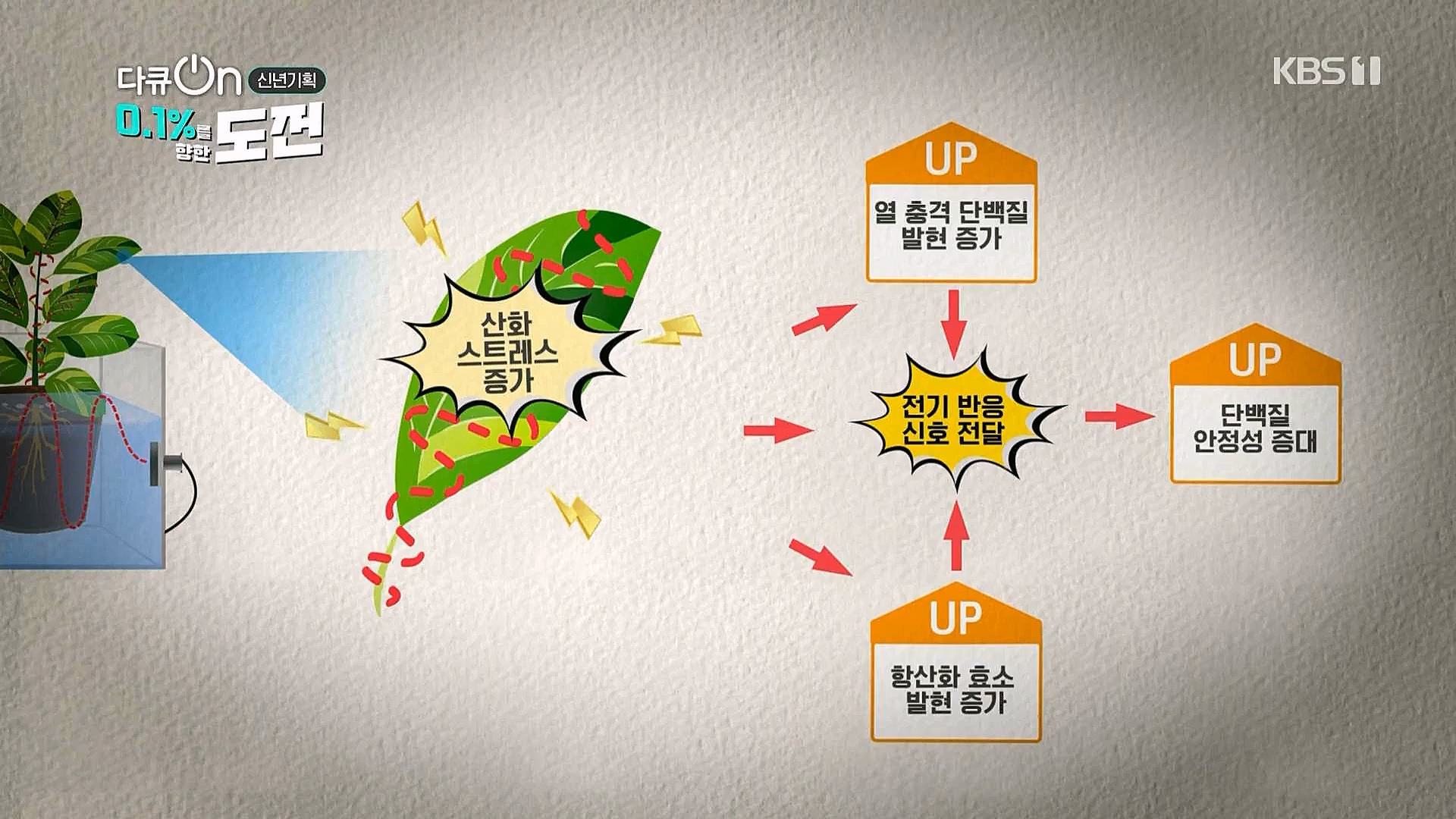 다큐 온.E184.230127p.WANNA.mp4_20230203_203841.902.jpg