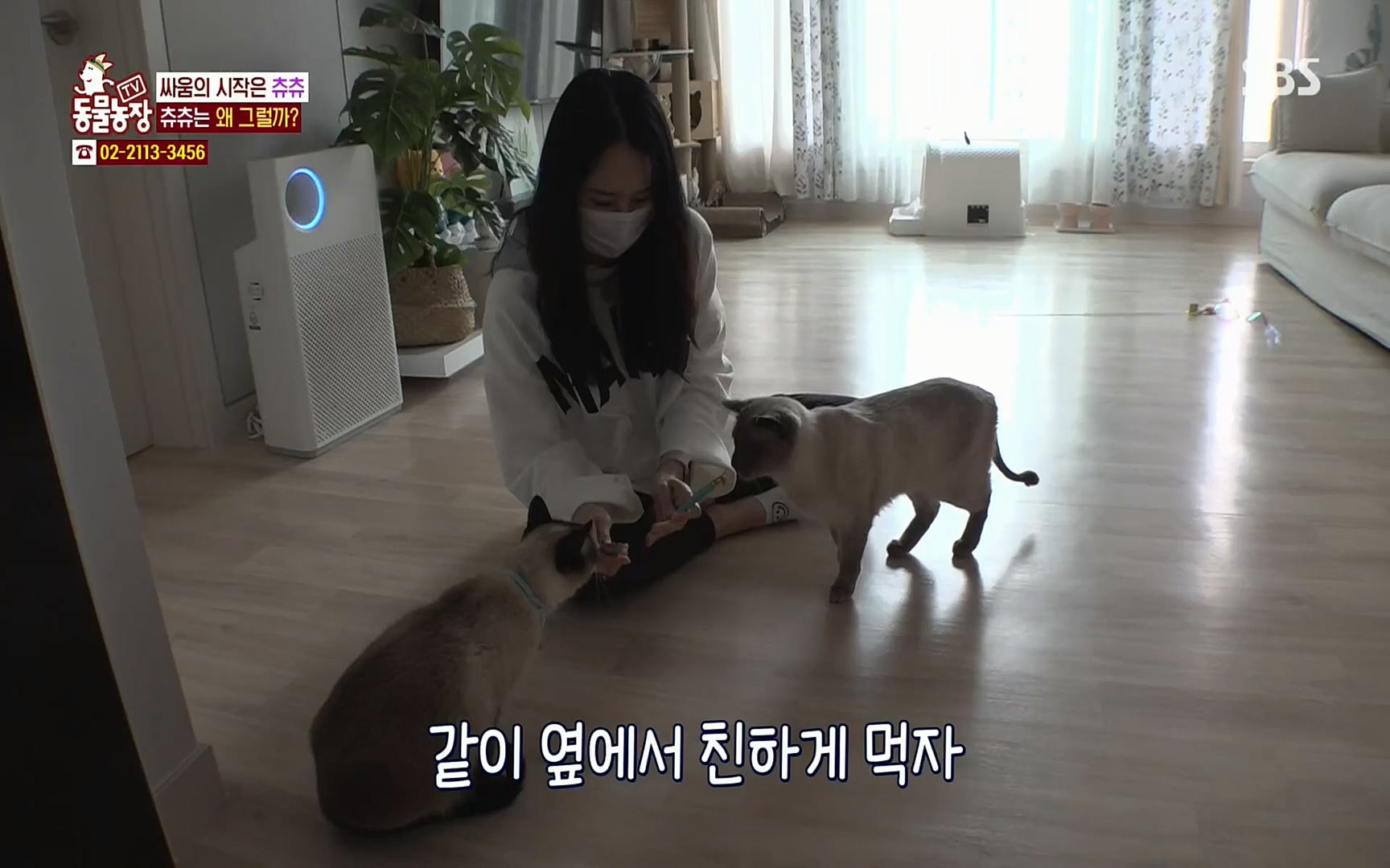 TV 동물농장.E1067.220501p.H264-F1RST.mp4_20220501_185008.321.jpg
