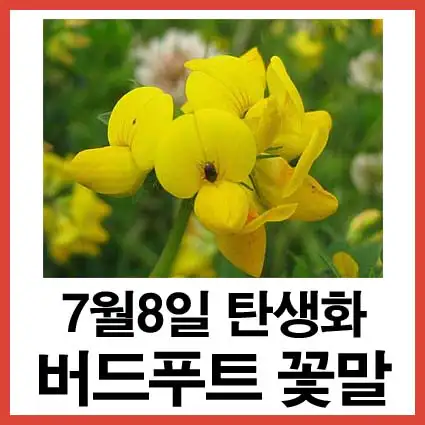 7월-8일-탄생화-버드푸트-꽃말