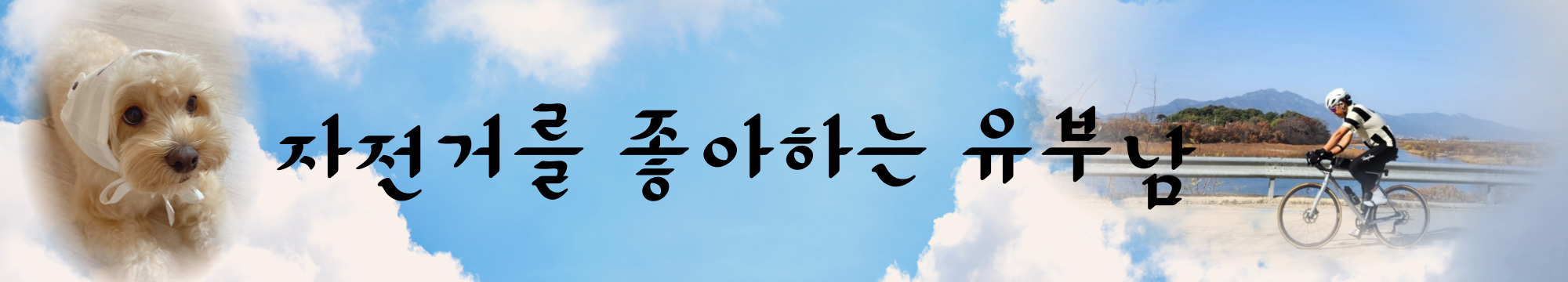 자전거가 주는 건강 이점 / The 11