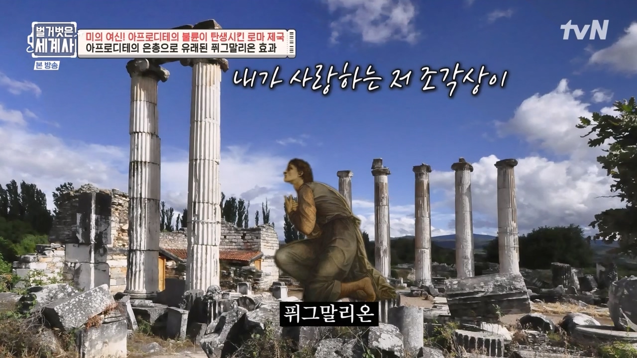 벌거벗은 세계사.E134.240117p-NEXT.mp4_20240117_203320.697.jpg
