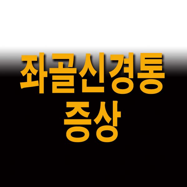  좌골신경통 증상및 운동법