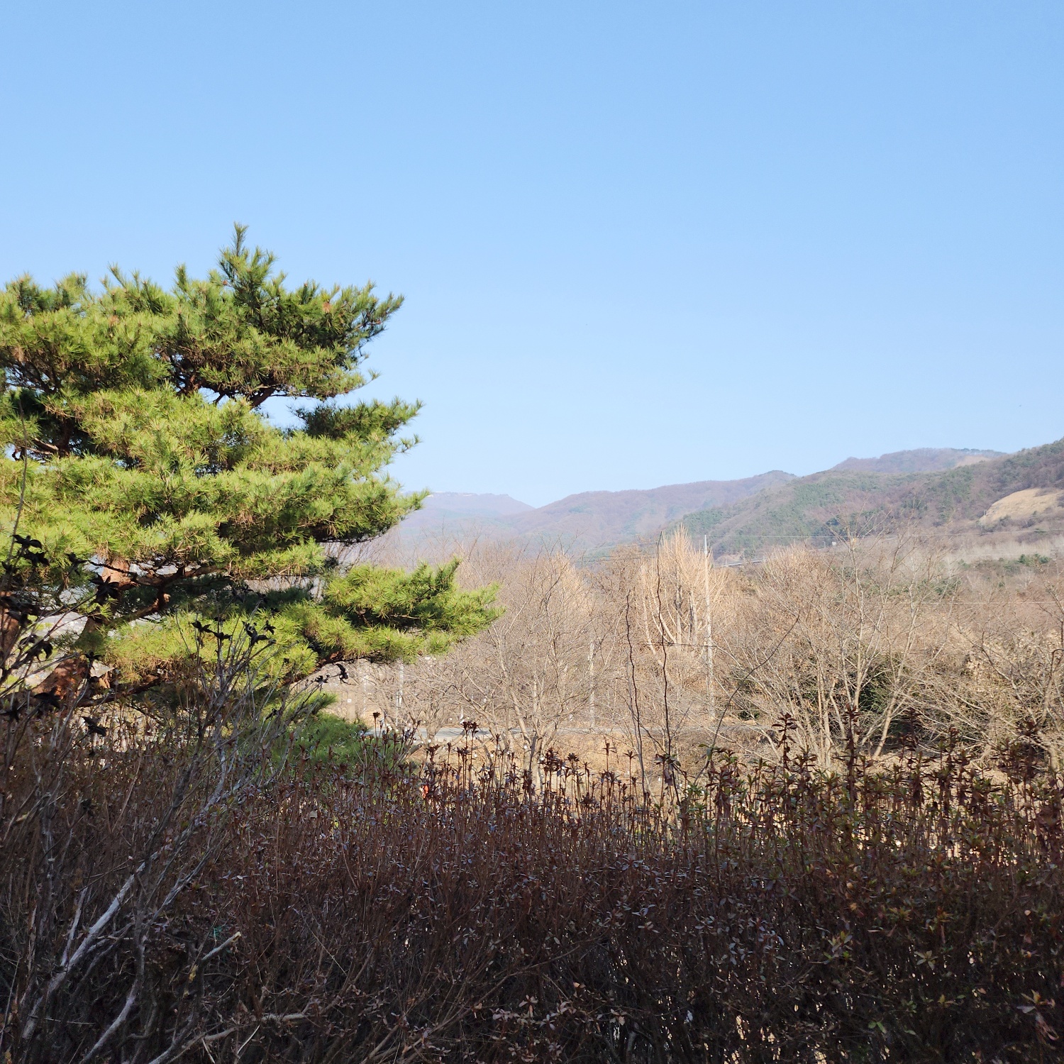 춘천산장카페