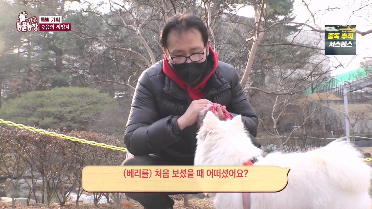 TV 동물농장.E1171.240513p-NEXT.mp4_20240512_163349.234.jpg