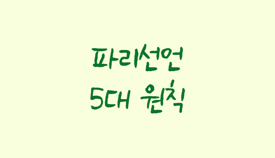  파리선언 5대 원칙