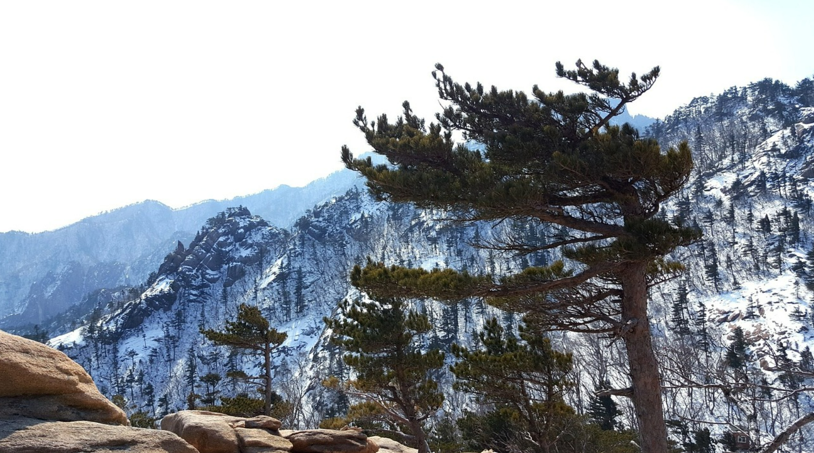 설악산 눈꽃 산행