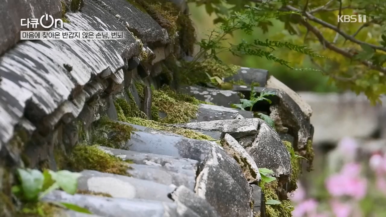 다큐 On.E221.231030p.H264-F1RST.mp4_20231031_202726.405.jpg