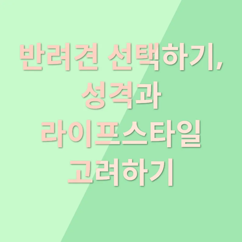 반려견 입양_1