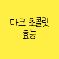  다크초콜릿 효능