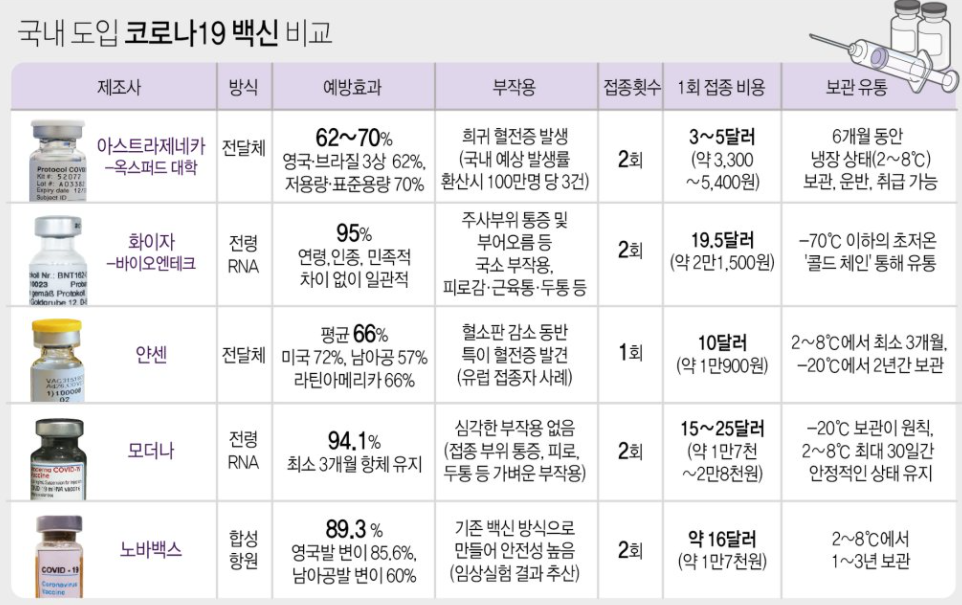 국내 코로나백신