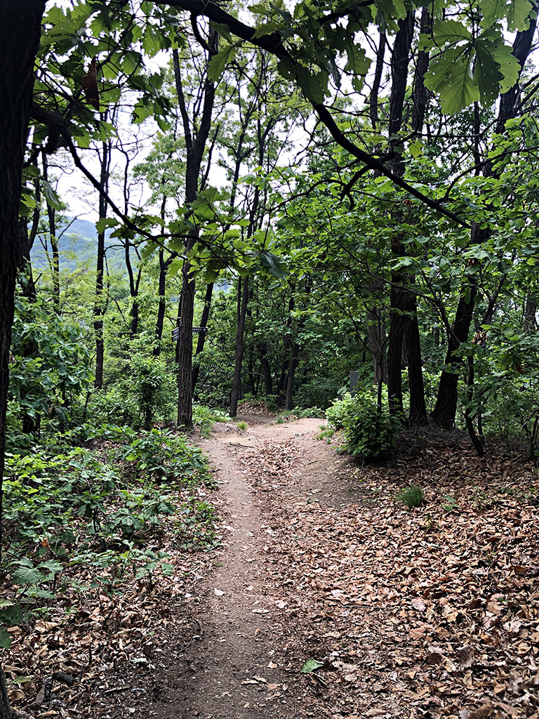 이성산등산코스