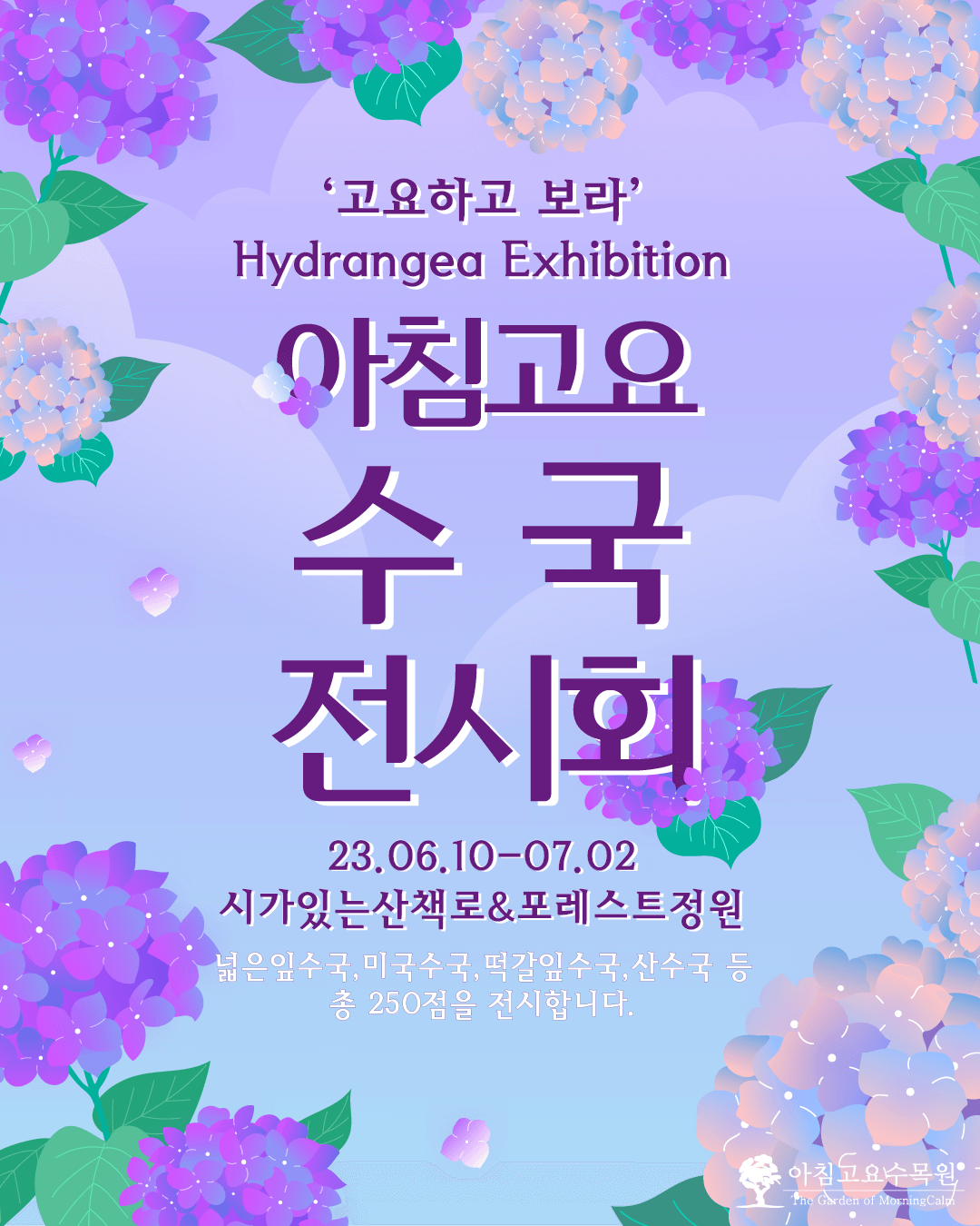  2023년 아침고요 수국전시회 (일정, 입장료, 주차)