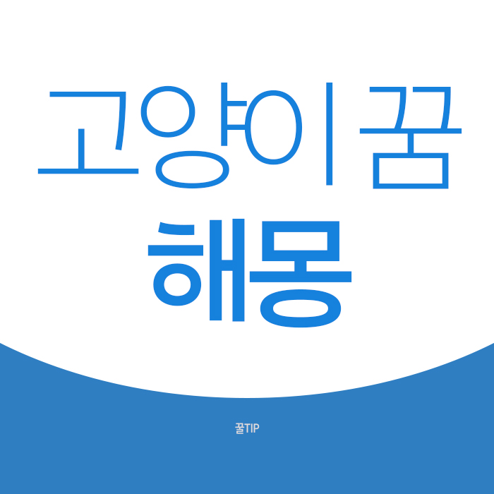  고양이꿈 해몽 총정리 해봤어요!