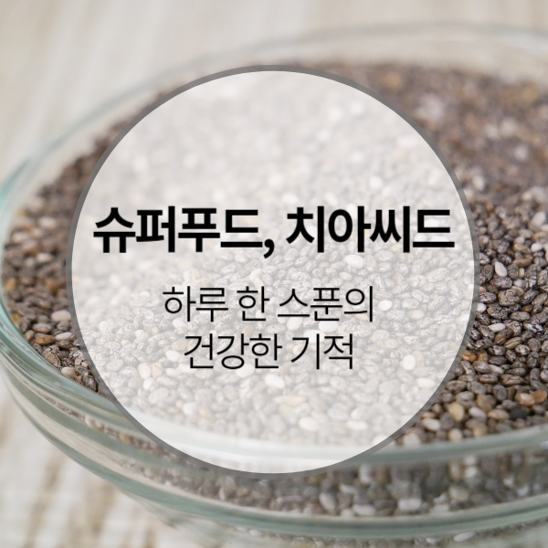 슈퍼푸드 &#39;치아씨드&#39;