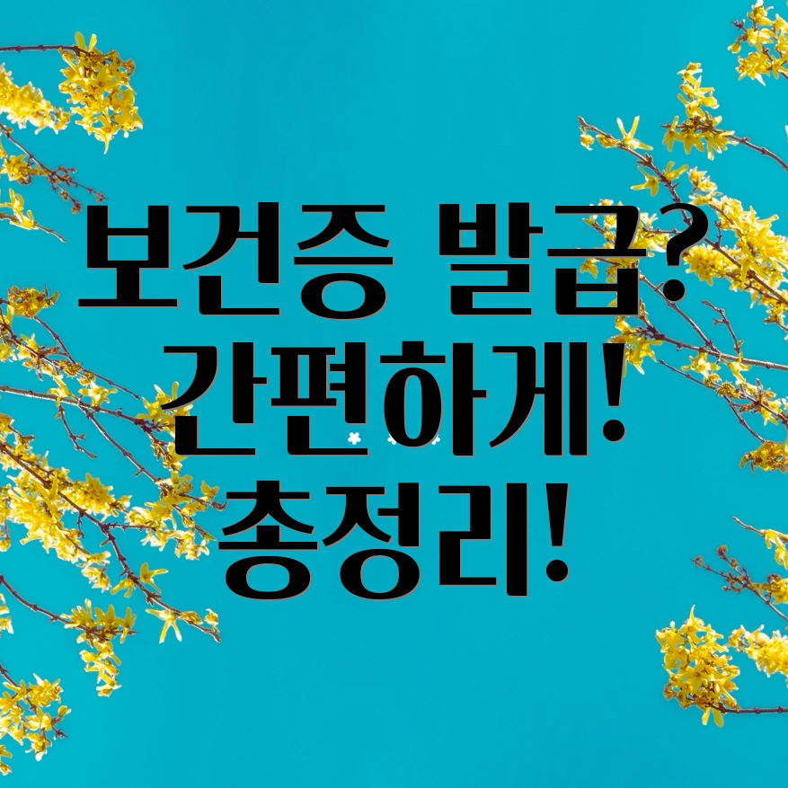 보건증