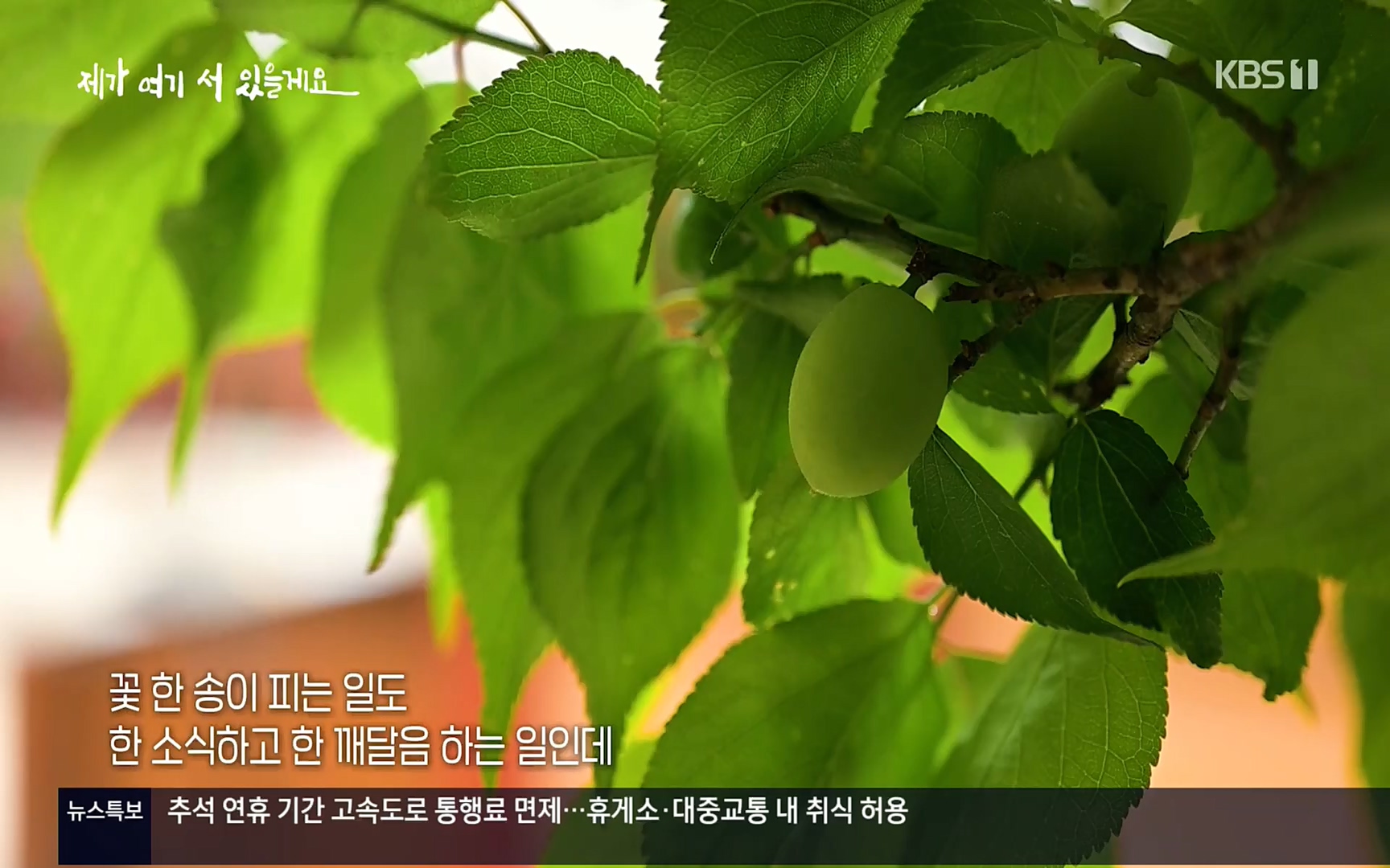 다큐 인사이트.E124.220908p.H264-F1RST.mp4_20220912_143723.980.jpg