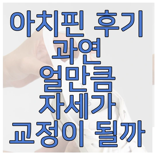 아치핀에 관한 글 보러 가기 링크 사진