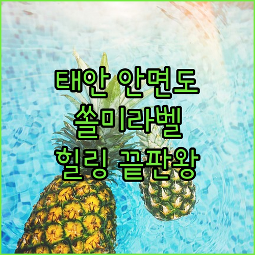태안 안면도 쏠미라벨펜션! 프라이빗 