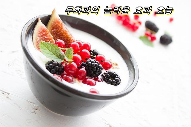  무화과의 놀라운 효과 효능