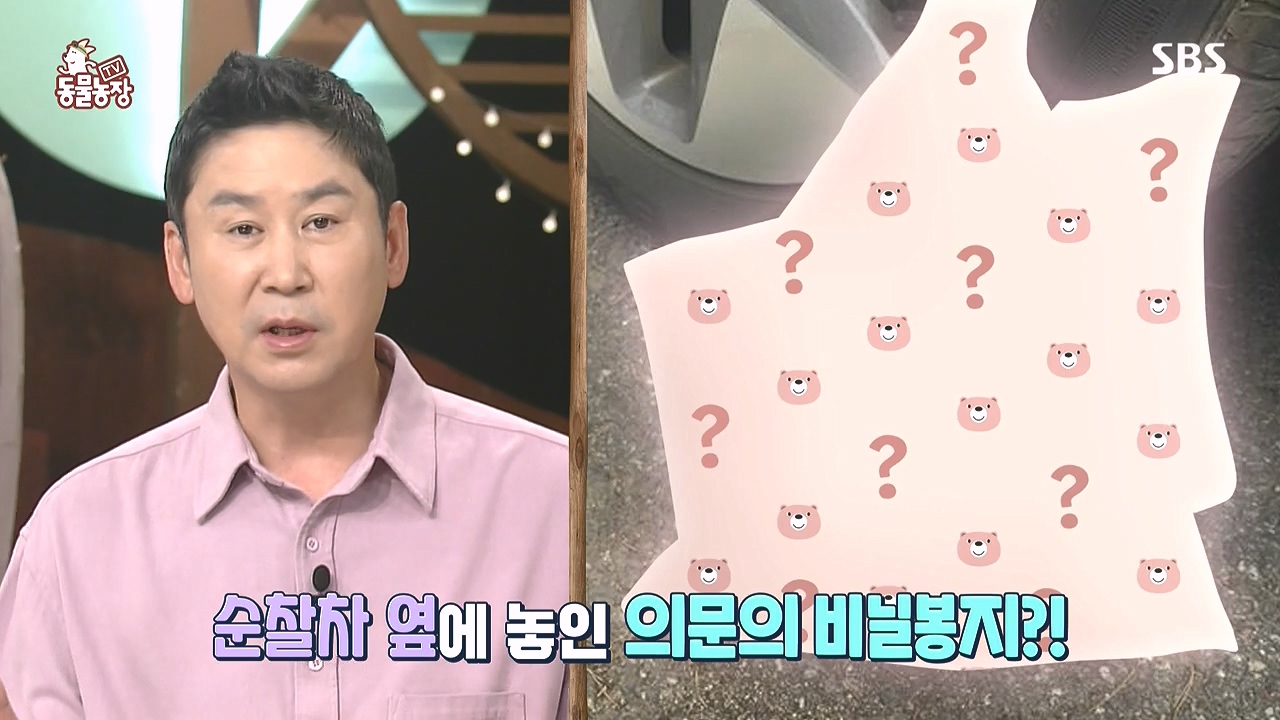 TV 동물농장.E1183.240805p-NEXT.mp4_20240804_154928.901.jpg