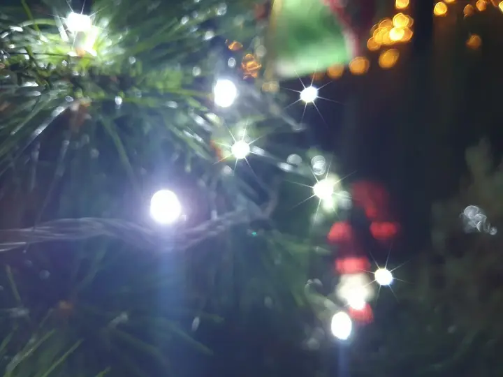 영롱한-크리스마스트리-불빛