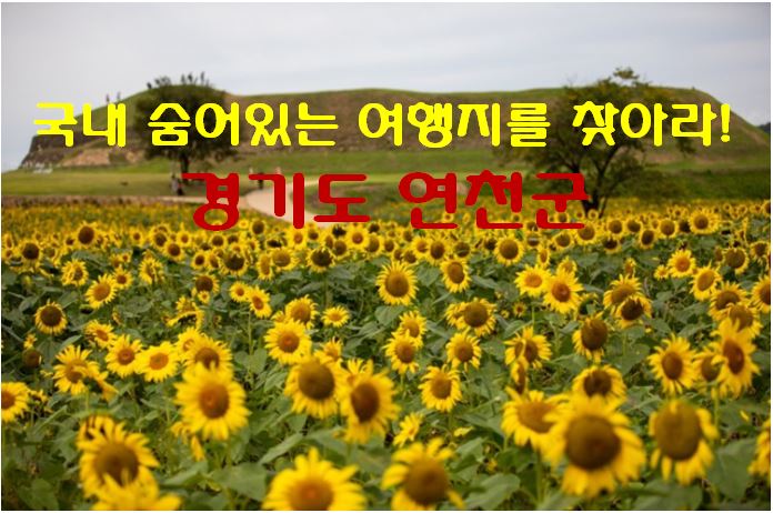  숨어있는 가을 여행지 경기도 연천 호로고루성을 소개합니다. (가을여행 추천 / 경기도 가볼만한 곳 / 경기도 가을여행지 / 당일치기 가을여행)
